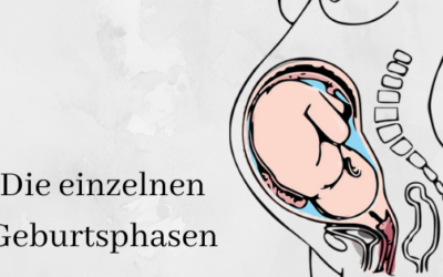 Weißt du wie eine Geburt verläuft? Meine Erklärungen zeigen es dir:)