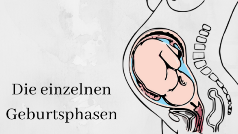 Weißt du wie eine Geburt verläuft? Meine Erklärungen zeigen es dir ...